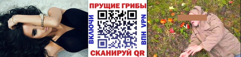 MEGA   Байкальск  Галлюциногенные грибы GOLDEN TEACHER 