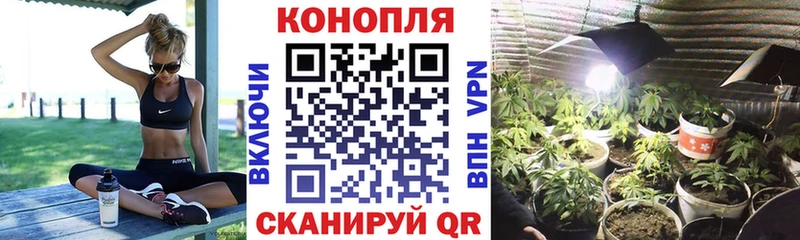 Канабис планчик  где можно купить наркотик  Байкальск 